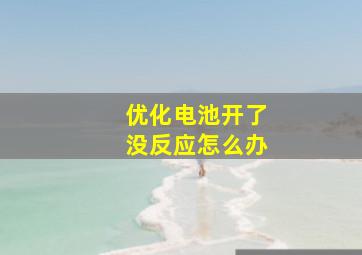 优化电池开了没反应怎么办