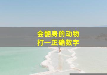 会翻身的动物打一正确数字