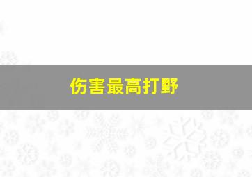 伤害最高打野