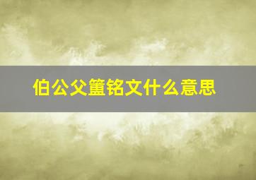 伯公父簠铭文什么意思