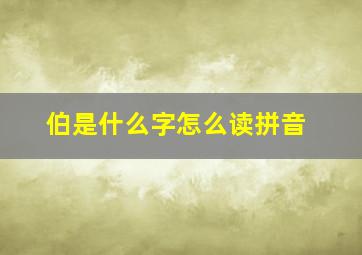 伯是什么字怎么读拼音