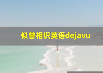 似曾相识英语dejavu