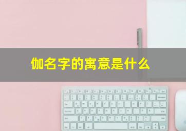 伽名字的寓意是什么