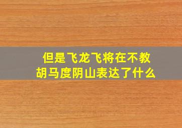 但是飞龙飞将在不教胡马度阴山表达了什么