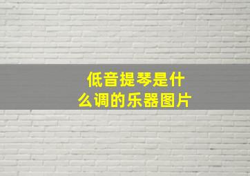 低音提琴是什么调的乐器图片