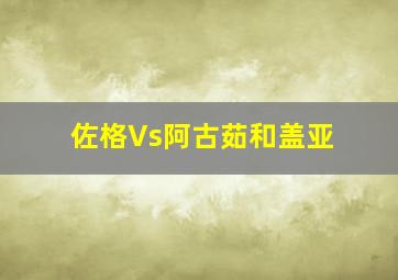 佐格Vs阿古茹和盖亚