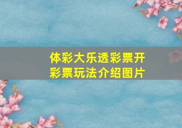 体彩大乐透彩票开彩票玩法介绍图片