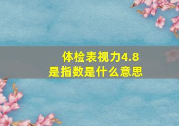 体检表视力4.8是指数是什么意思