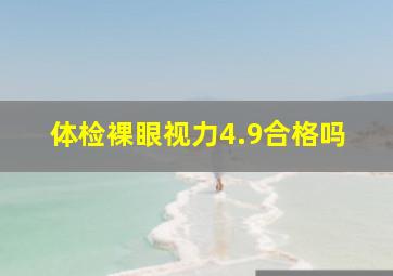 体检裸眼视力4.9合格吗