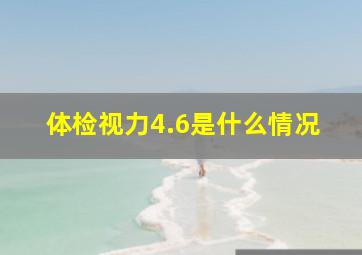 体检视力4.6是什么情况