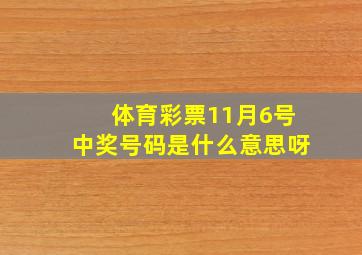 体育彩票11月6号中奖号码是什么意思呀