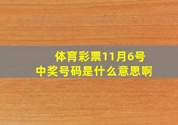 体育彩票11月6号中奖号码是什么意思啊