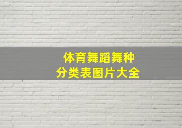 体育舞蹈舞种分类表图片大全