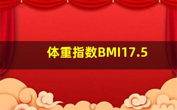 体重指数BMI17.5