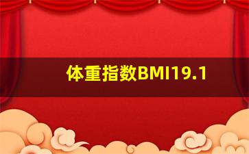 体重指数BMI19.1