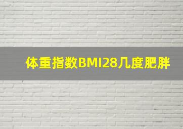 体重指数BMI28几度肥胖