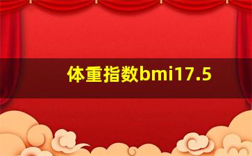 体重指数bmi17.5