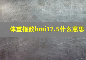 体重指数bmi17.5什么意思