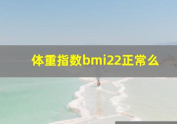 体重指数bmi22正常么