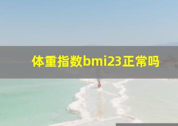 体重指数bmi23正常吗