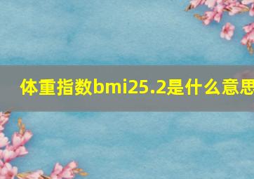 体重指数bmi25.2是什么意思