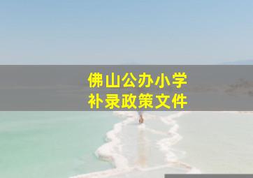 佛山公办小学补录政策文件