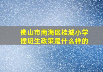 佛山市南海区桂城小学插班生政策是什么样的