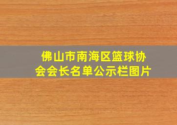 佛山市南海区篮球协会会长名单公示栏图片