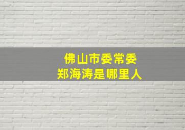 佛山市委常委郑海涛是哪里人