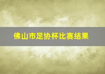 佛山市足协杯比赛结果