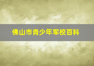 佛山市青少年军校百科