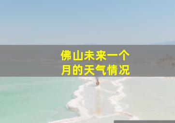 佛山未来一个月的天气情况