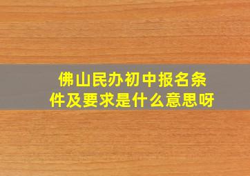 佛山民办初中报名条件及要求是什么意思呀