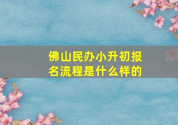 佛山民办小升初报名流程是什么样的