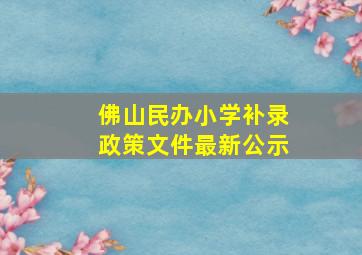 佛山民办小学补录政策文件最新公示