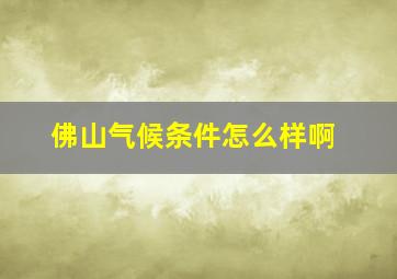 佛山气候条件怎么样啊