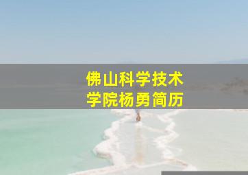 佛山科学技术学院杨勇简历