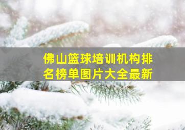 佛山篮球培训机构排名榜单图片大全最新