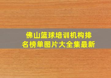 佛山篮球培训机构排名榜单图片大全集最新