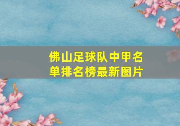 佛山足球队中甲名单排名榜最新图片