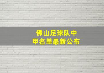 佛山足球队中甲名单最新公布