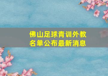 佛山足球青训外教名单公布最新消息