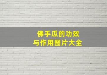 佛手瓜的功效与作用图片大全