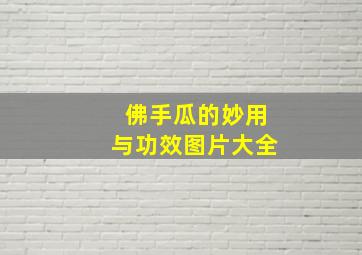 佛手瓜的妙用与功效图片大全