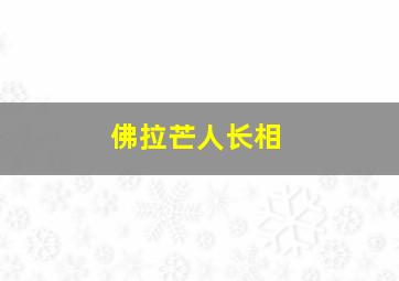 佛拉芒人长相