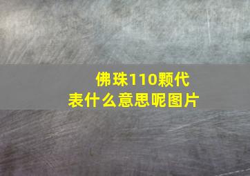 佛珠110颗代表什么意思呢图片