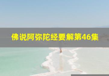 佛说阿弥陀经要解第46集