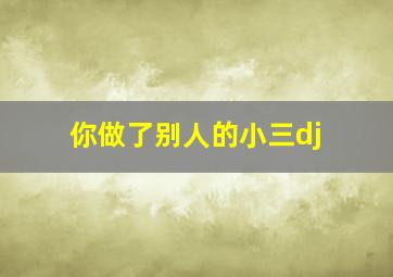 你做了别人的小三dj