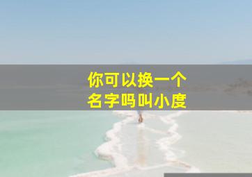 你可以换一个名字吗叫小度