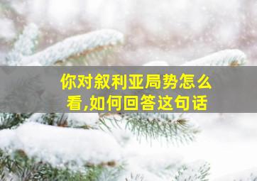 你对叙利亚局势怎么看,如何回答这句话